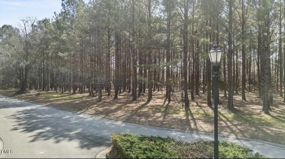 121 W Grandiflora Drive Wallace, NC 28466