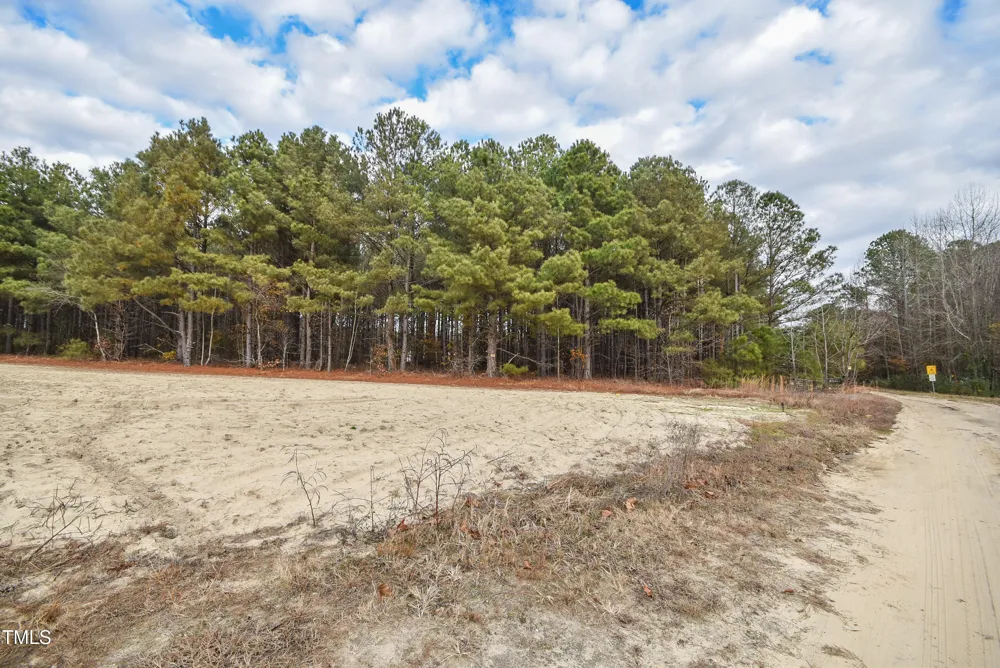 Parcel #3 Bob Lee Lane Dunn, NC 28334