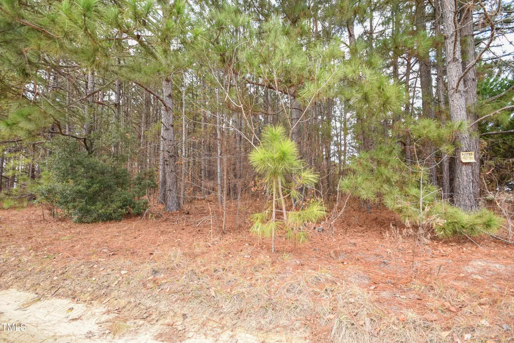 Parcel #3 Bob Lee Lane Dunn, NC 28334
