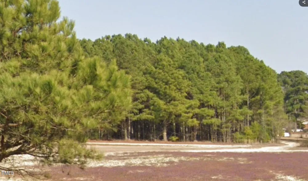 Parcel #3 Bob Lee Lane Dunn, NC 28334
