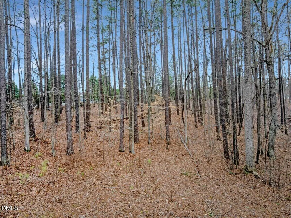 12 Piney Ridge Road Clarksville, VA 23927