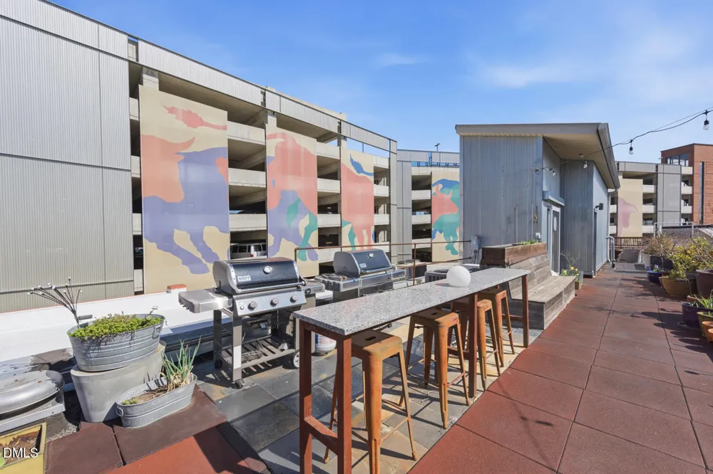 208 Rigsbee Avenue #Apt 207 Durham, NC 27701