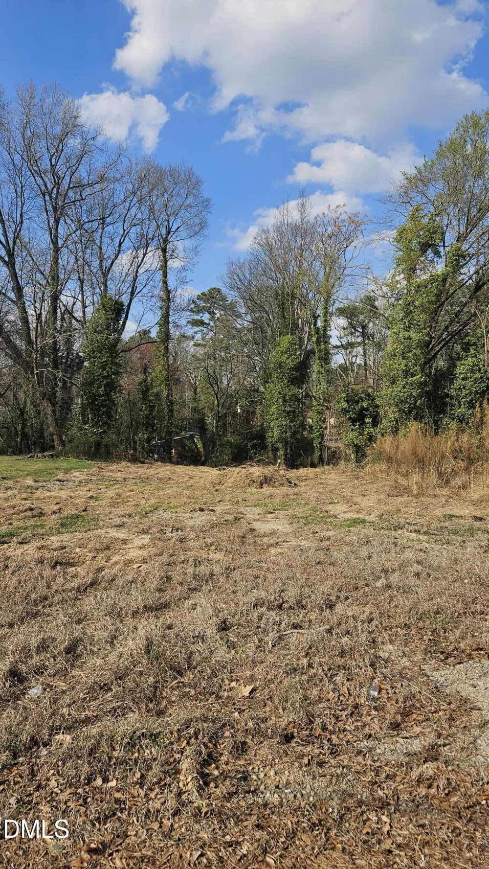 112 W Pine Holly Springs, NC 27540
