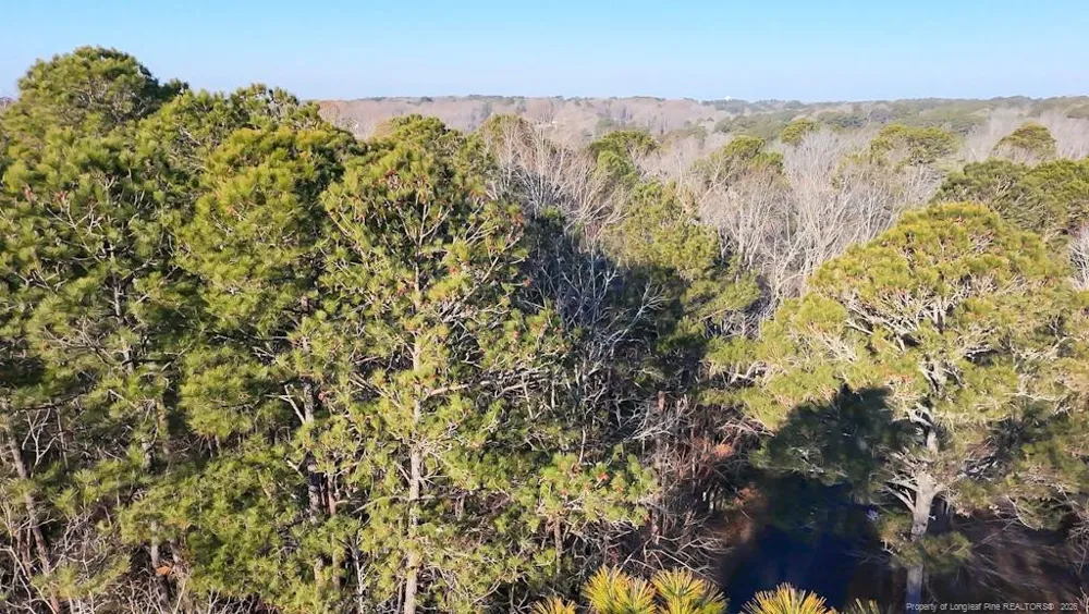 2027 Long Point Trail Sanford, NC 27332