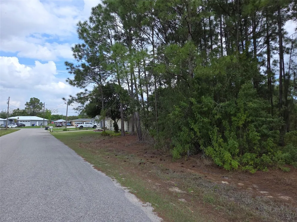 655 LYNN DR Lake Placid, FL 33852