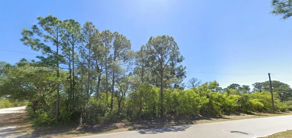 235 Deerwalk Ave Lake Placid, FL 33852