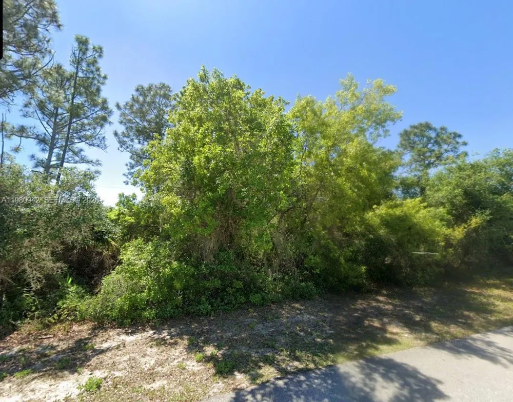 235 Deerwalk Ave Lake Placid, FL 33852