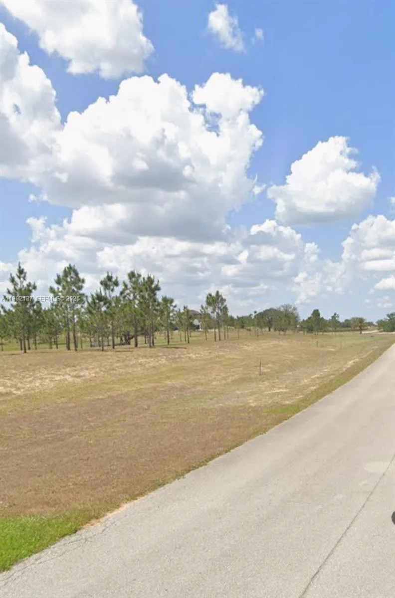 1009 ORANGE CREEK LN Sebring, FL 33870