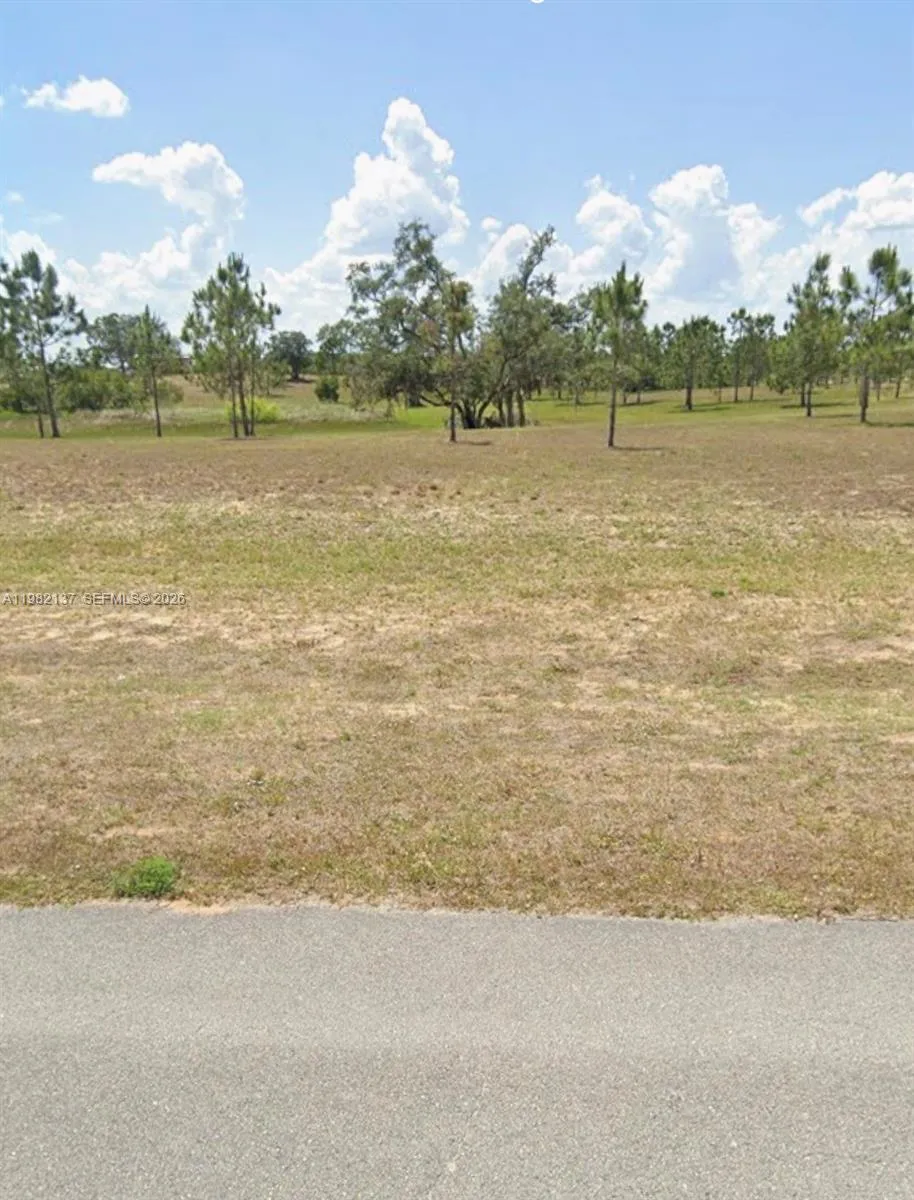 1009 ORANGE CREEK LN Sebring, FL 33870