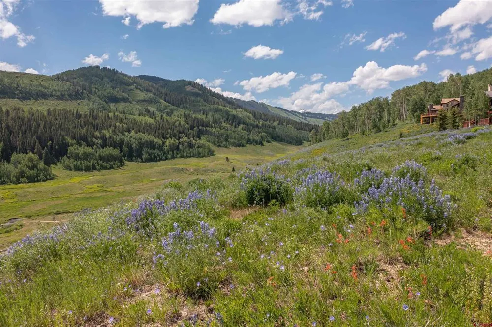 351 Meadow Drive Crested Butte, CO 81224