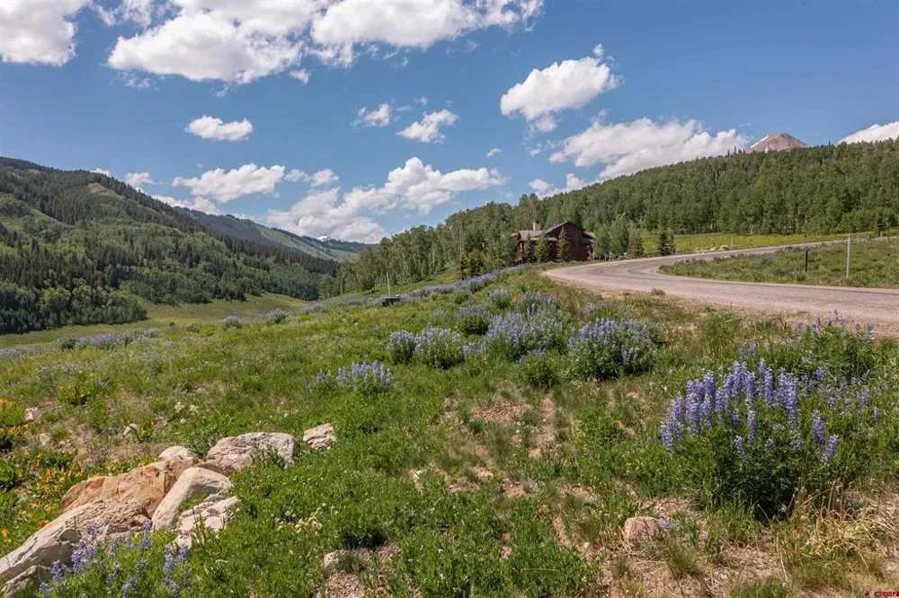 351 Meadow Drive Crested Butte, CO 81224