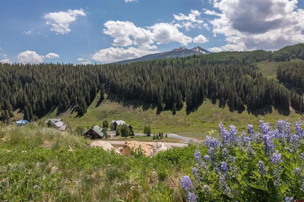 351 Meadow Drive Crested Butte, CO 81224