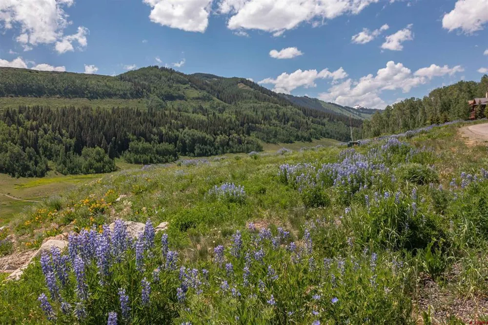 351 Meadow Drive Crested Butte, CO 81224