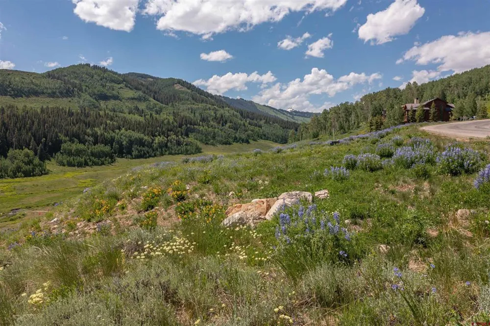 351 Meadow Drive Crested Butte, CO 81224