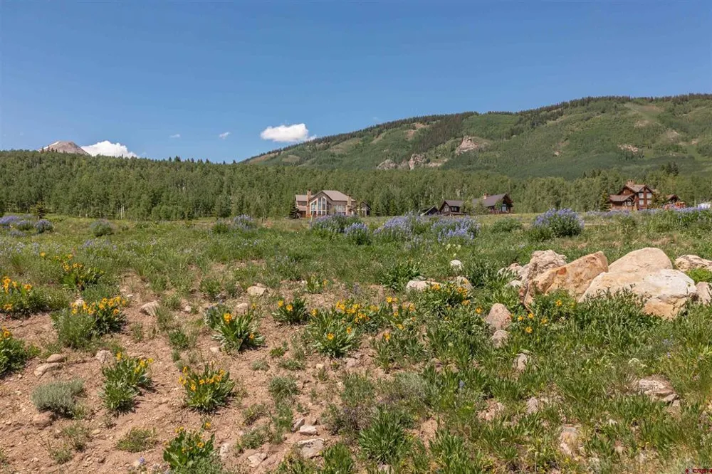 351 Meadow Drive Crested Butte, CO 81224