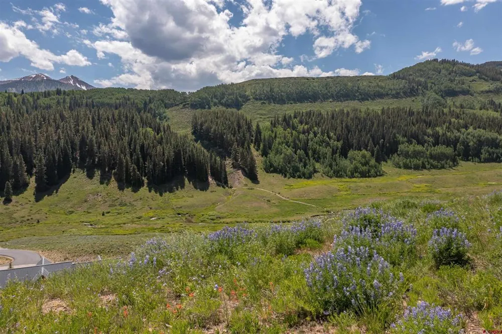 351 Meadow Drive Crested Butte, CO 81224