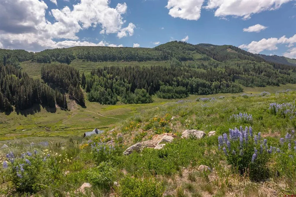 351 Meadow Drive Crested Butte, CO 81224