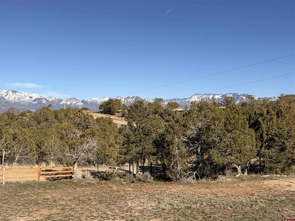 1174 3375 ROAD Crawford, CO 81415