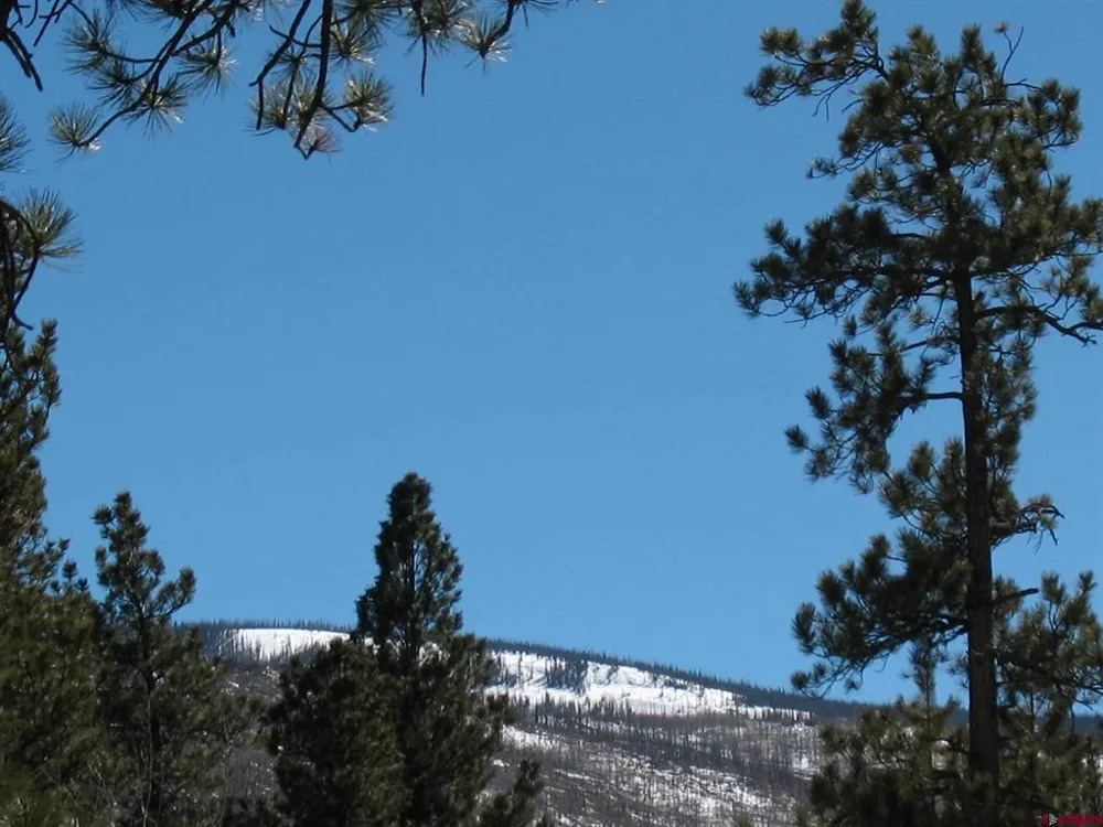 190 Church Creek Circle South Fork, CO 81154