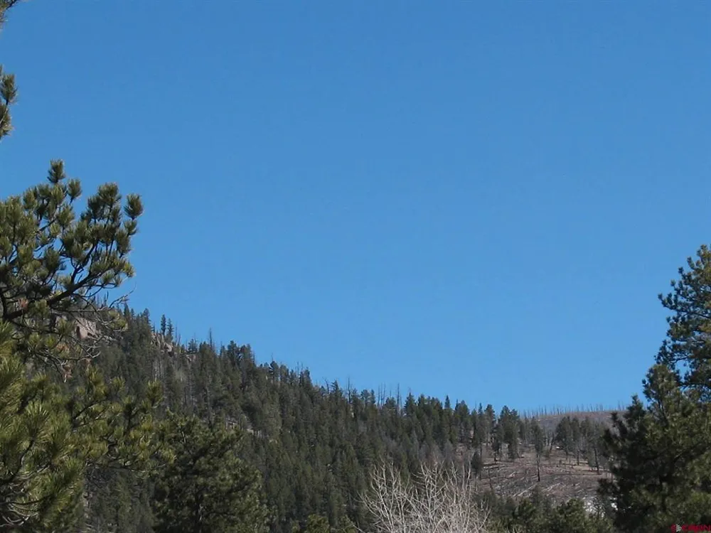 190 Church Creek Circle South Fork, CO 81154