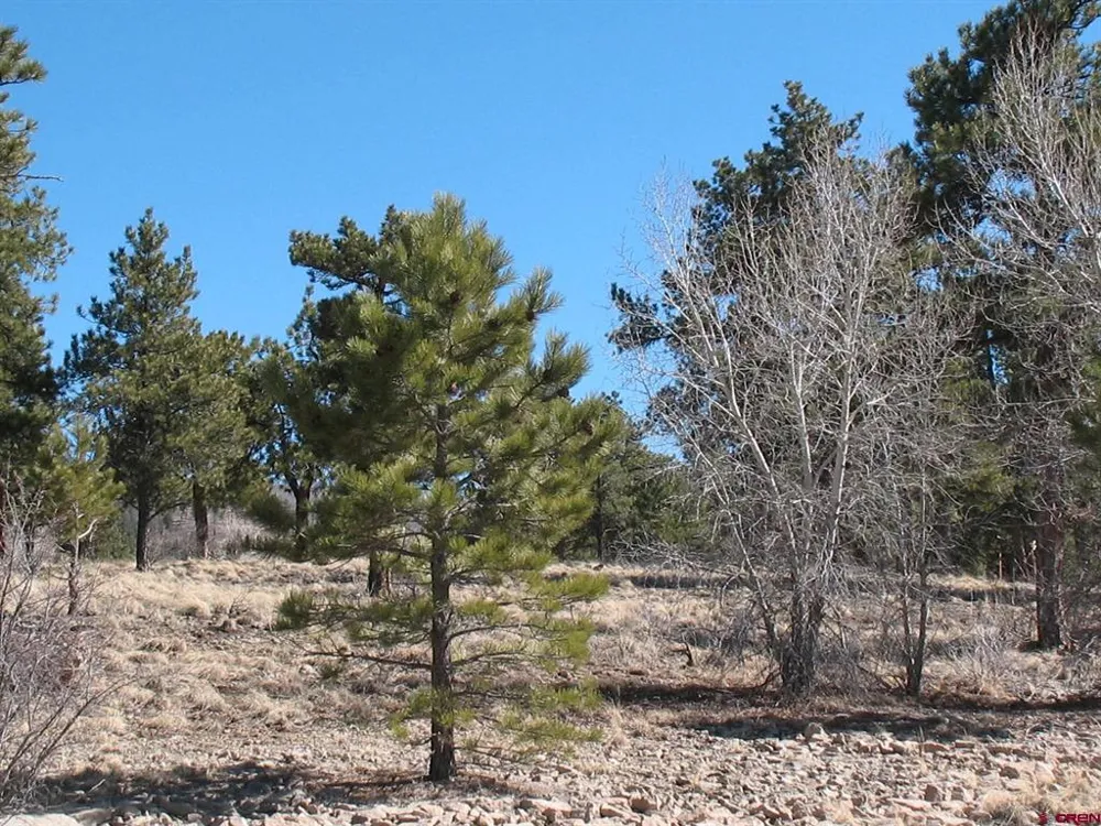 190 Church Creek Circle South Fork, CO 81154