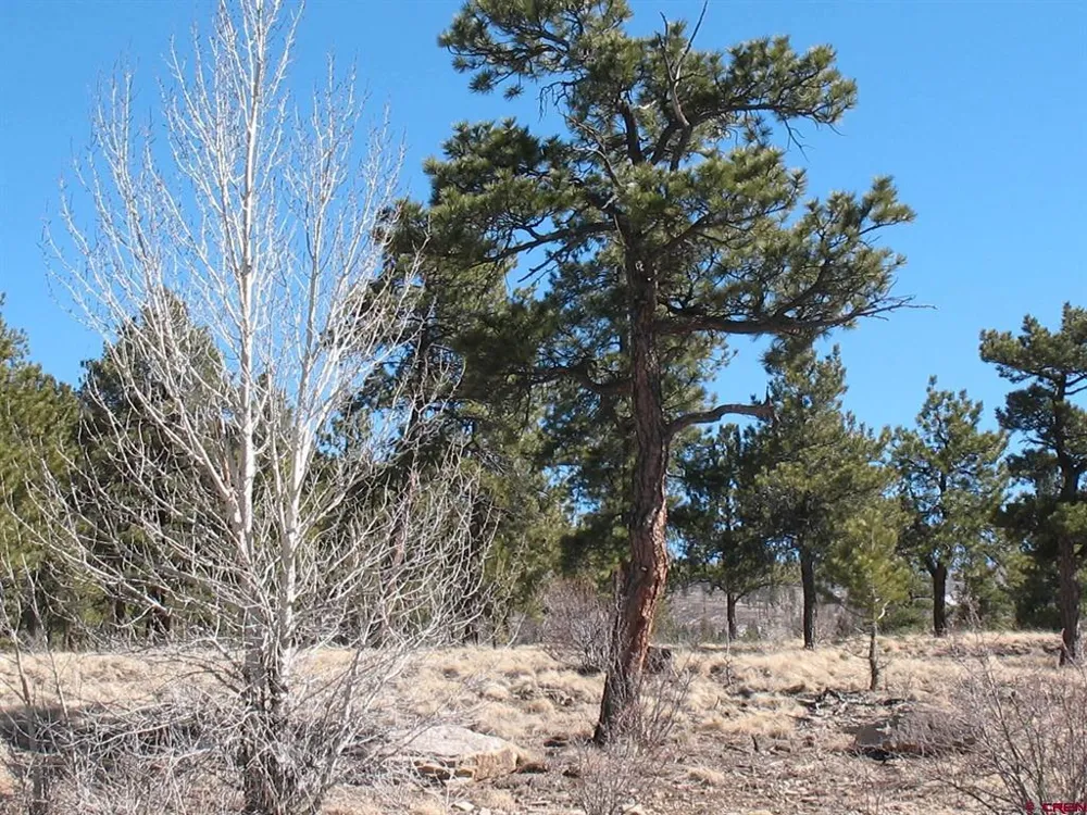190 Church Creek Circle South Fork, CO 81154