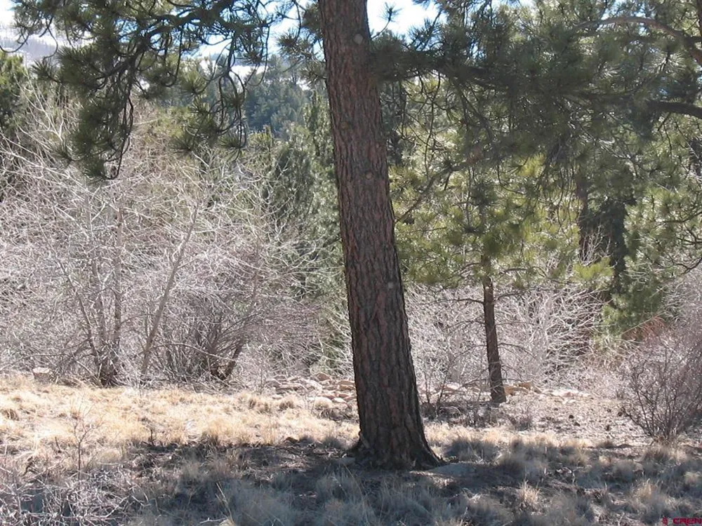 190 Church Creek Circle South Fork, CO 81154