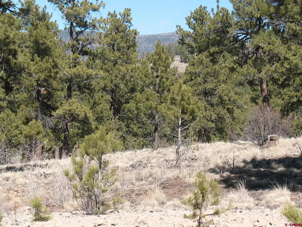 190 Church Creek Circle South Fork, CO 81154