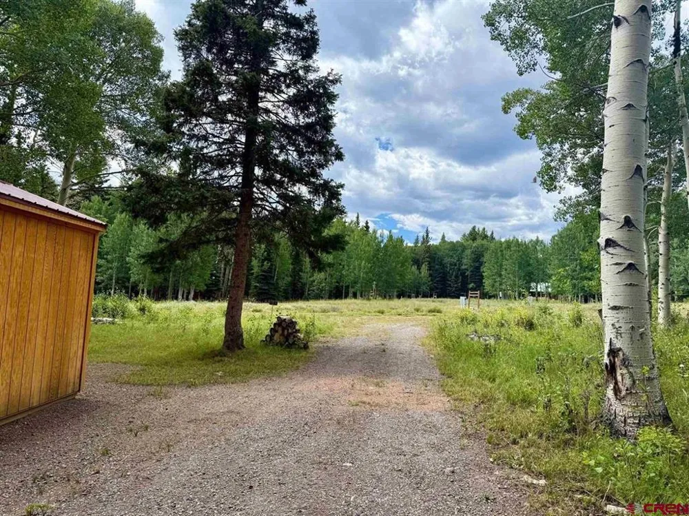 450 Hazel Lake Drive Cimarron, CO 81220