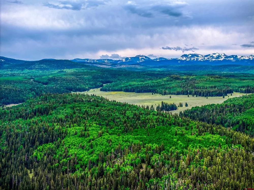 450 Hazel Lake Drive Cimarron, CO 81220