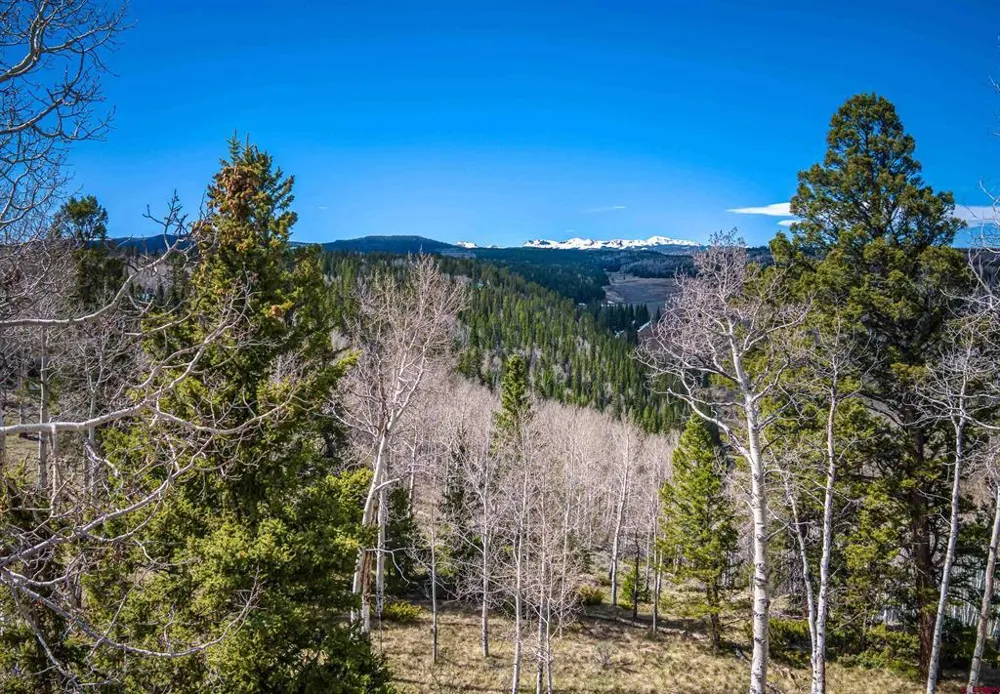450 Hazel Lake Drive Cimarron, CO 81220