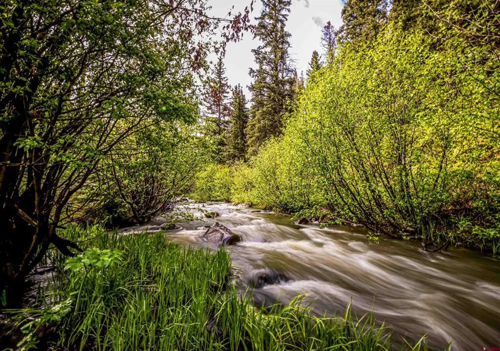 450 Hazel Lake Drive Cimarron, CO 81220