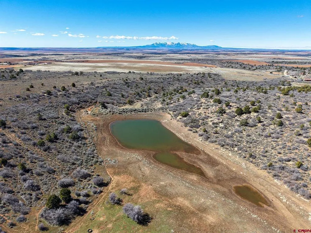 County Line Rd Dove Creek, CO 81324