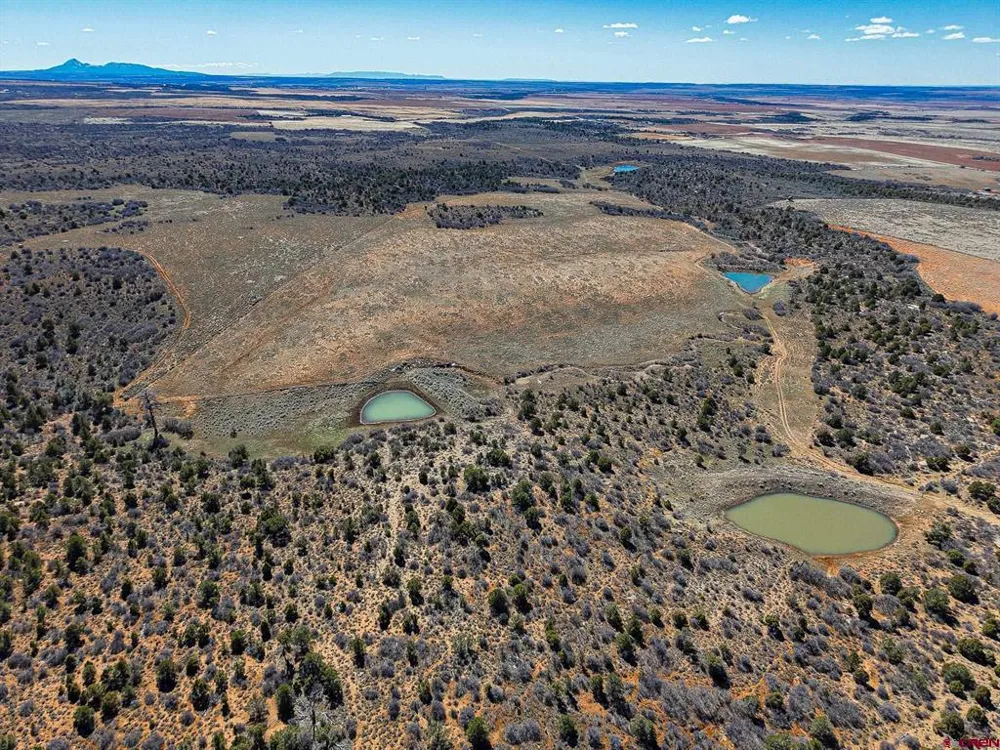 County Line Rd Dove Creek, CO 81324