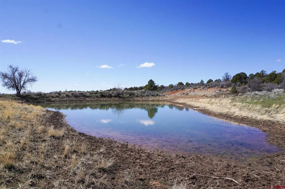 County Line Rd Dove Creek, CO 81324