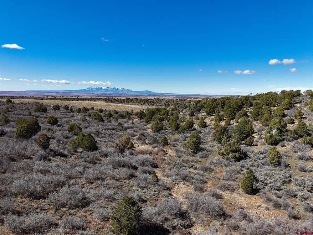 County Line Rd Dove Creek, CO 81324