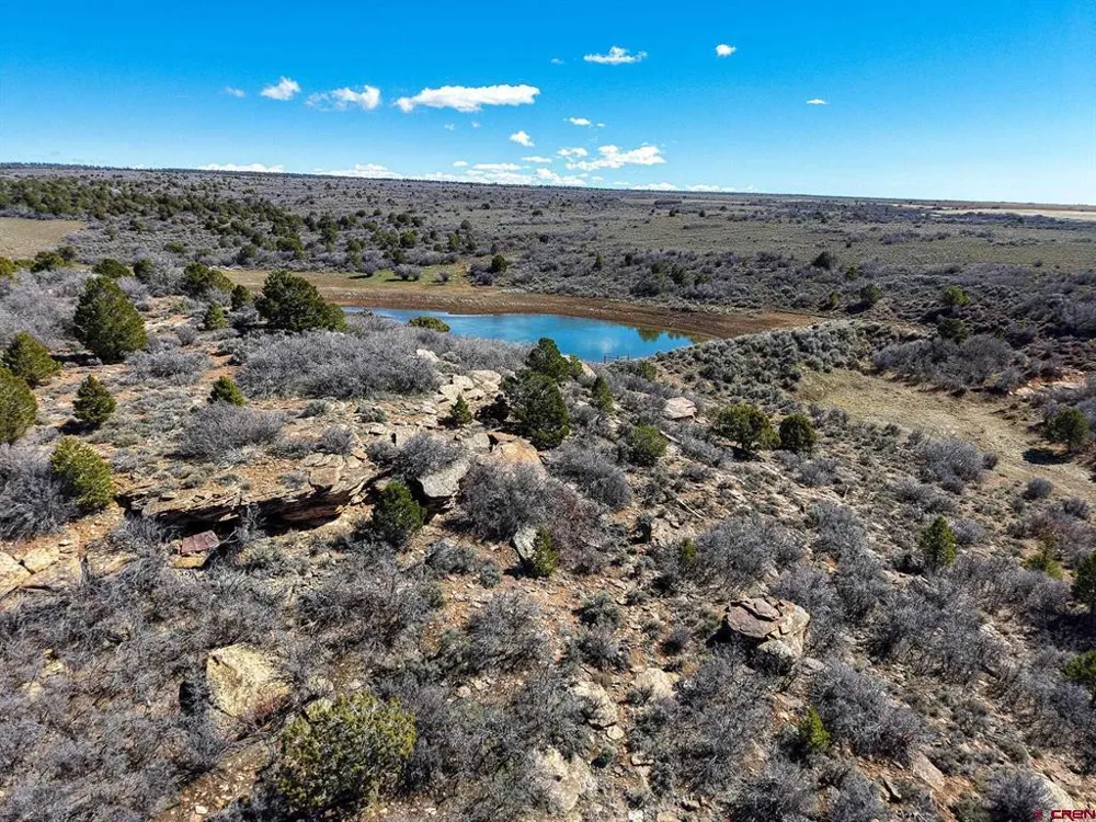 County Line Rd Dove Creek, CO 81324