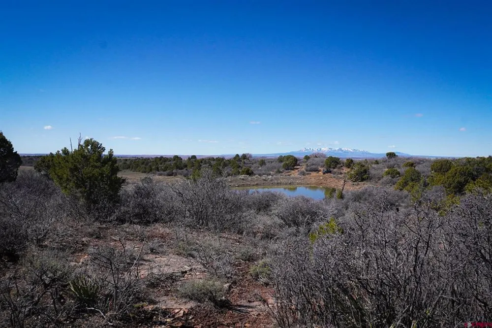 County Line Rd Dove Creek, CO 81324