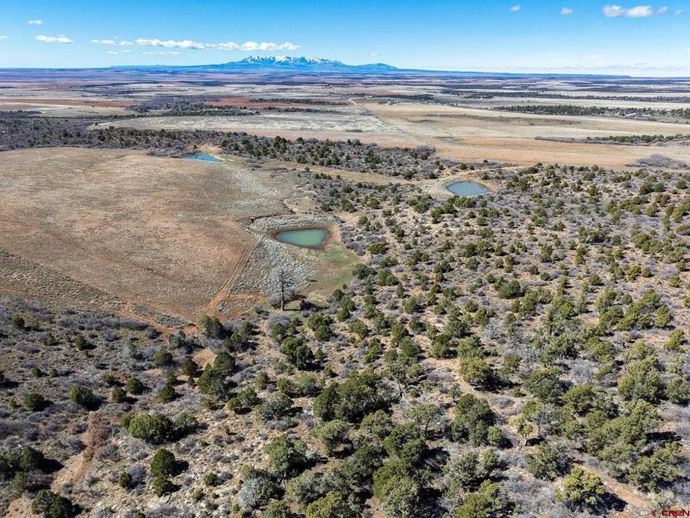 County Line Rd Dove Creek, CO 81324