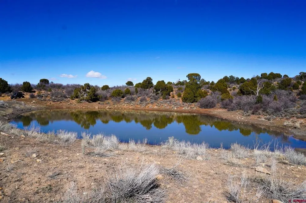 County Line Rd Dove Creek, CO 81324