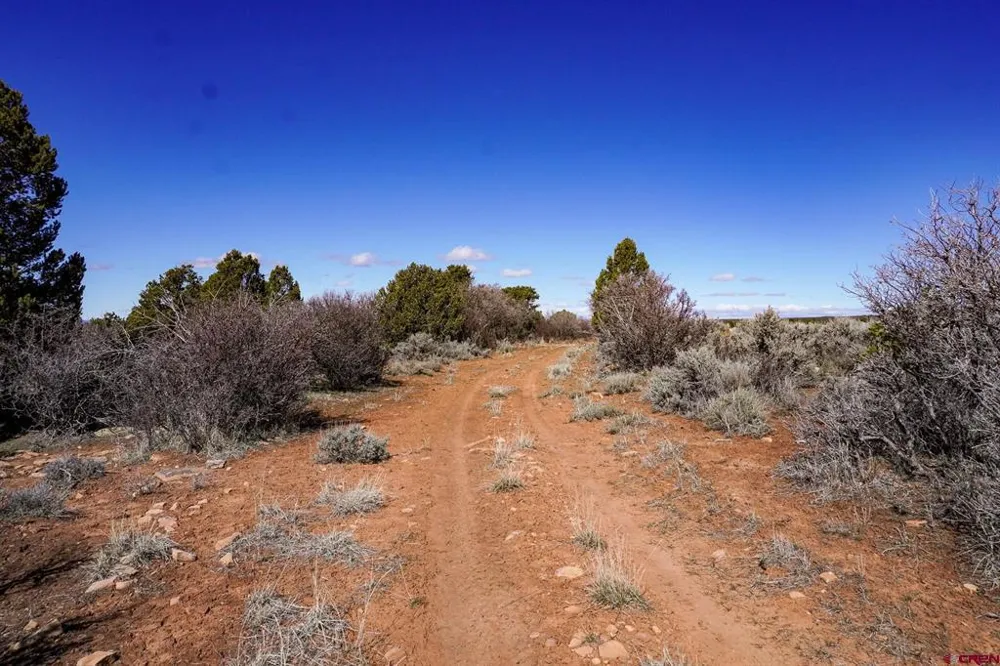 County Line Rd Dove Creek, CO 81324