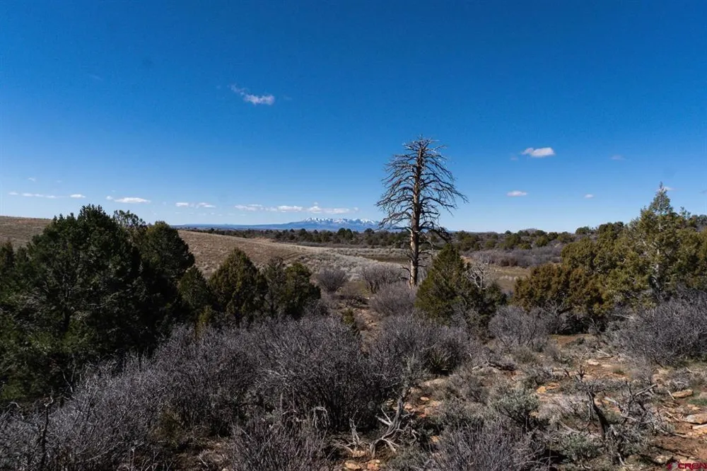 County Line Rd Dove Creek, CO 81324