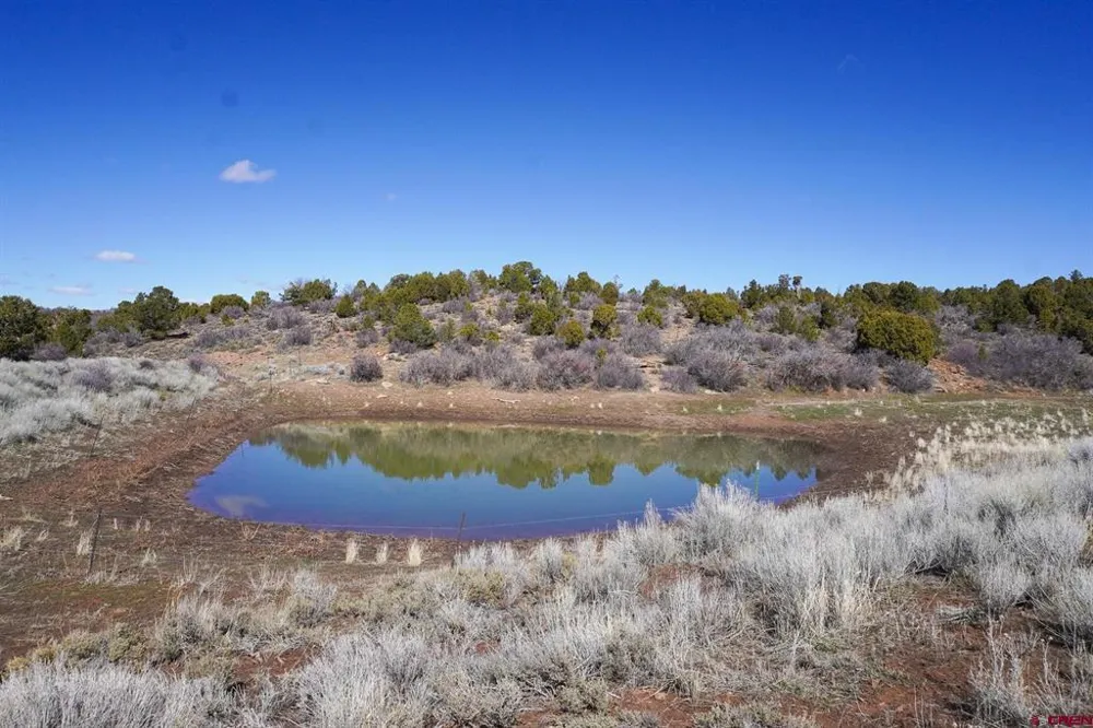 County Line Rd Dove Creek, CO 81324