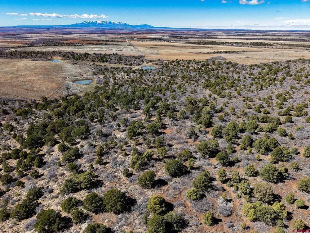 County Line Rd Dove Creek, CO 81324
