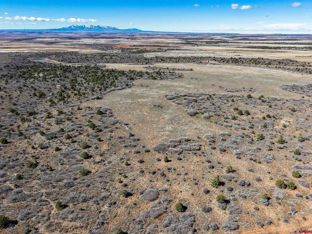 County Line Rd Dove Creek, CO 81324
