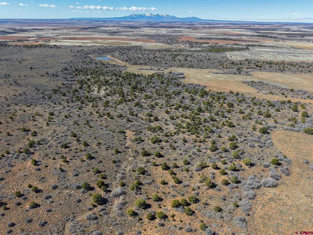 County Line Rd Dove Creek, CO 81324