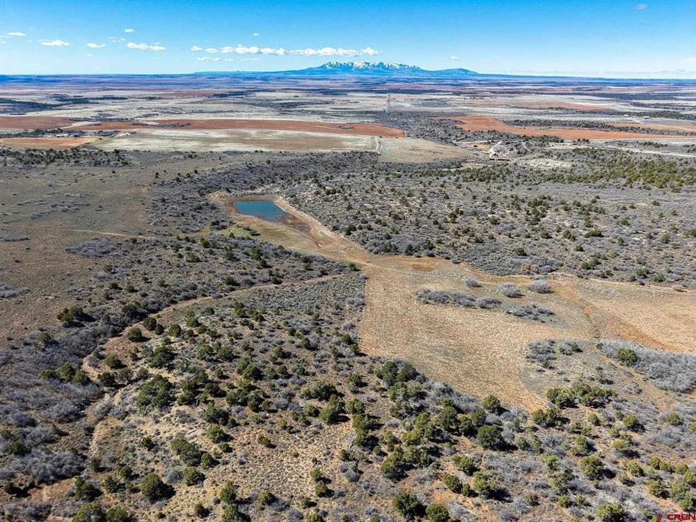 County Line Rd Dove Creek, CO 81324