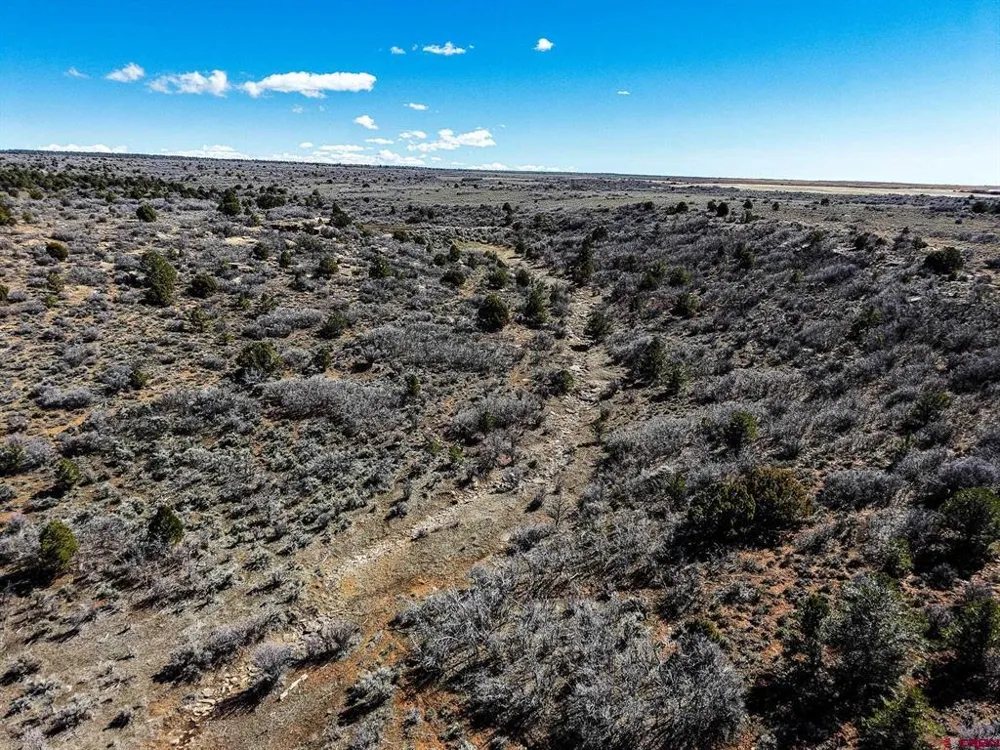 County Line Rd Dove Creek, CO 81324