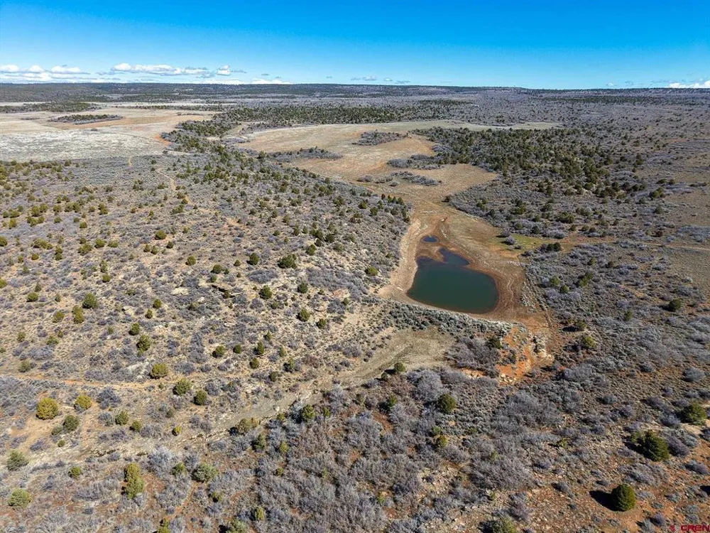 County Line Rd Dove Creek, CO 81324
