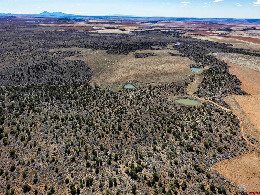 County Line Rd Dove Creek, CO 81324